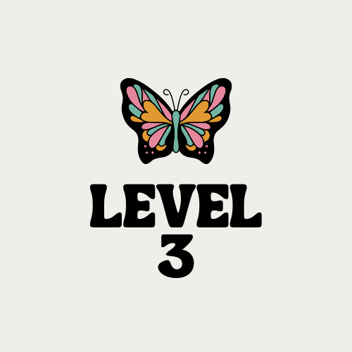 Level 3 set